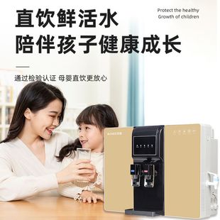 Chigo Water Purifier Household Direct Drinking RO Reverse Osmosis Urban Rural Water Purifier Heating All-in-One Machine HR101