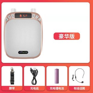 Factory wholesale small bee megaphone teacher microphone speaker wireless teaching class small headset