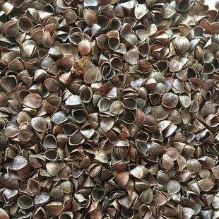 Factory supply factory wholesale sweet buckwheat shell high temperature washing disinfection dust-free pillow filler bulk whole