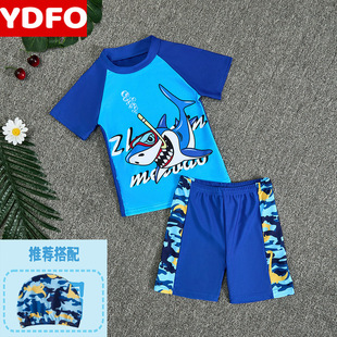 Children's Swimwear Boys Split Summer 2025 New Sunscreen Seaside Cartoon Short-sleeved Swimwear Hot Spring Equipment