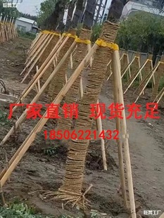 Bracket Support Rod Wooden Stick Windproof Engineering Pole Sidewalk Tree Anti-Corrosion Anti-Falling Municipal Tree Peeling Fixator