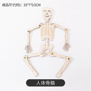 Student Science Experiment steam Kindergarten Children's Science and Technology Small Making DIY Handmade Classroom Educational Toys