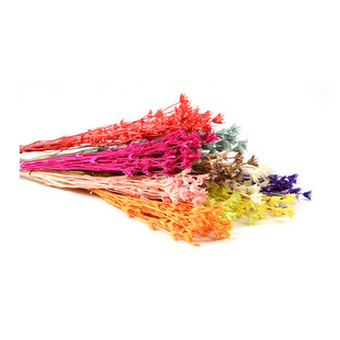 Dried flower octagonal flower multi-color immortal bouquet Tanabata Valentine's Day gift box glass cover diy flower bag Yunnan wholesale