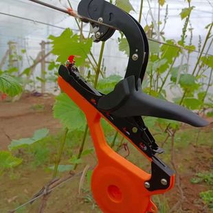 Новый японский Meikes MAX импортирует новые крепежные машины для экономии HT-RC серии виноградных помидоров