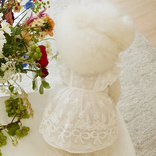 2025 Pet Summer Lace Flying Sleeve Princess Dress Teddy Bear Dog Cat Thin Clothes Headwear