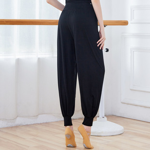 Autumn Poetry Dancing Pants Women's Modal Loose Modern Dance Dancing Pants Harlan Pants Black Yoga Practice Lantern Pants