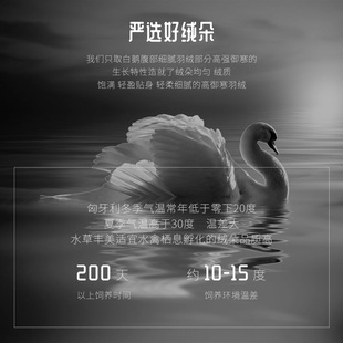 New self-filling duvet 95 goose down quilt white goose down 5A grade goose down winter thickened warm household wholesale
