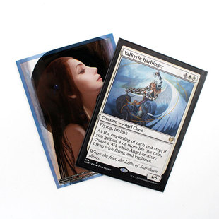 Custom Printing Game Card Sleeve High Quality Color Printing Waterproof and Dustproof Plastic Protective Film