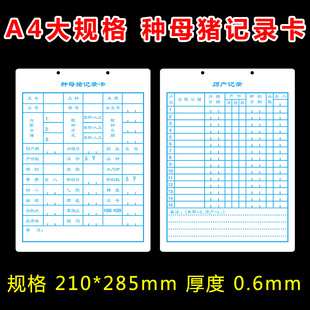Thickened Sow Card Breeding Sow Record Card Bedhead Sow Record Card Backfat File Card Data Blank Record Card
