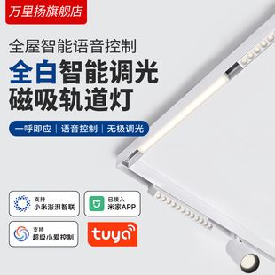 Белый Mi Home Smart Магнитный Магнитный Тотальный Световой Свет Tmall Elf Мобильный телефон голосовое управление без рамки Встроенный светодиод
