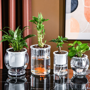 Creative Hydroponics Bottle Plant Transparent Plastic Vase Container Green Flower Pot Fish Flower Co-cultivation Tank Water-cultivation Ornaments Utensils