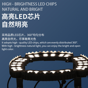 Outdoor tree lamp garden landscape waterproof tree lamp tree planting spot lamp lawn ring tree lamp surrounding tree lamp