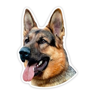 Cross-border young German shepherd car sticker bumper decoration rear window laptop sticker