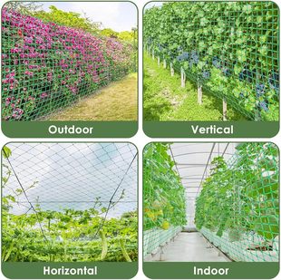 Plant climbing net green gardening square plaid cucumber hanging melon climbing net stand chrysanthemum wind resistance lodging resistance net