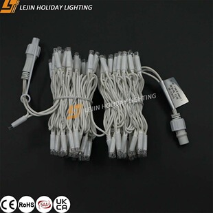 Cross-Border 220Vip67 Waterproof Led Lantern Outdoor Holiday Decorative Light White Rubber Wire String Light Warm White with Flash