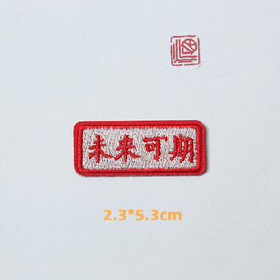 2024 Future Text Embroidery Double-sided Sticker Cute All-match Cloth Sticker Clothing Accessories Patch Sticker DIY Self-adhesive