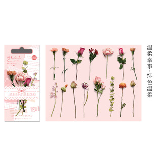Mu Dye Plant Sticker Bag Gentle Lucky Flower Transparent Waterproof Sticker Mobile Phone Shell Decorative Hand Account Material Sticker