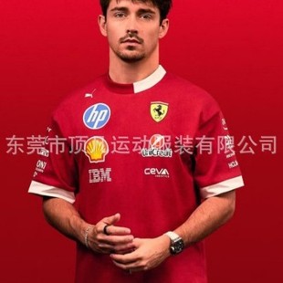 2024 Cross-border New F1 Racing Suit Short-sleeved Quick-drying Breathable Clothing Sweat-wicking European and American Men's Summer Top