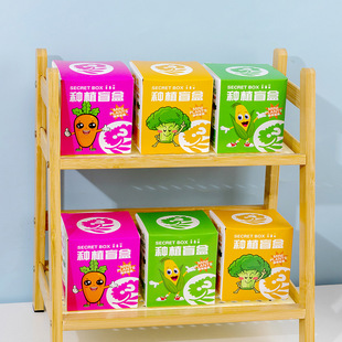 Gift Small Observation Planting Blind Box Pushing Small Gift Kindergarten Small Potted Plant Sharing Children's Desktop Plant Birthday