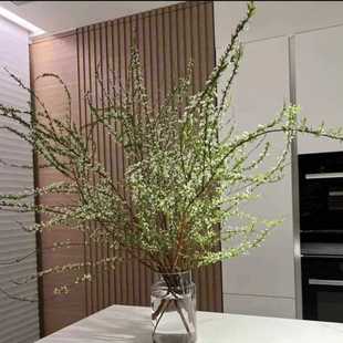 Manufacturer Absorbs Formaldehyde in the Living Room to Nourish and Purify the Air. Green Plants, Snow Willow, Foliage, Dragon Willow, Fresh Branches, Good Hydroponic Potted Florals