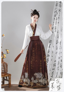 Чернильная книга Original Ming-made Hanfu Женский китайский стиль Повседневный общий элемент Хань Новая рубашка в китайском стиле Юбка с верхом Костюм