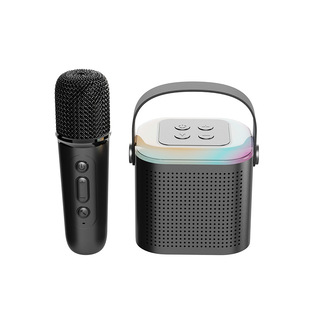 Private model Bluetooth speaker home wireless Karaoke Speaker Microphone children's small outdoor singing family ktv