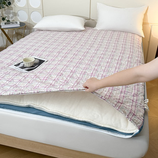 2024 autumn and winter removable washable cotton mattress Faleirong water washable cotton cushion quilt bedding student dormitory mattress wholesale