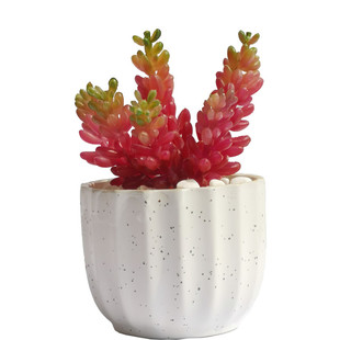 Simulated Succulent Plant Grape Fruit Plastic Feel Fruit Soft Glue Artificial Green Plant Bonsai Desktop Photo Decoration