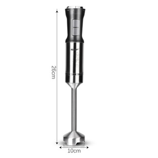 RAF European standard American standard cooking bar baby food supplement machine handheld electric multifunctional household mixer