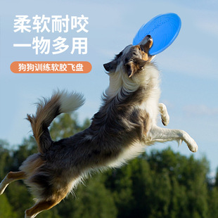 Dog Frisbee Interactive Toys Special Outdoor Frisbee Floating Water Bite Resistant Retrieve Training Pet Frisbee Wholesale