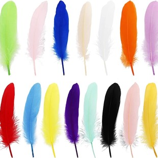 Color hard floating feather wedding clothing accessories dream catcher DIY feather material 100 pieces per pack of craft feathers