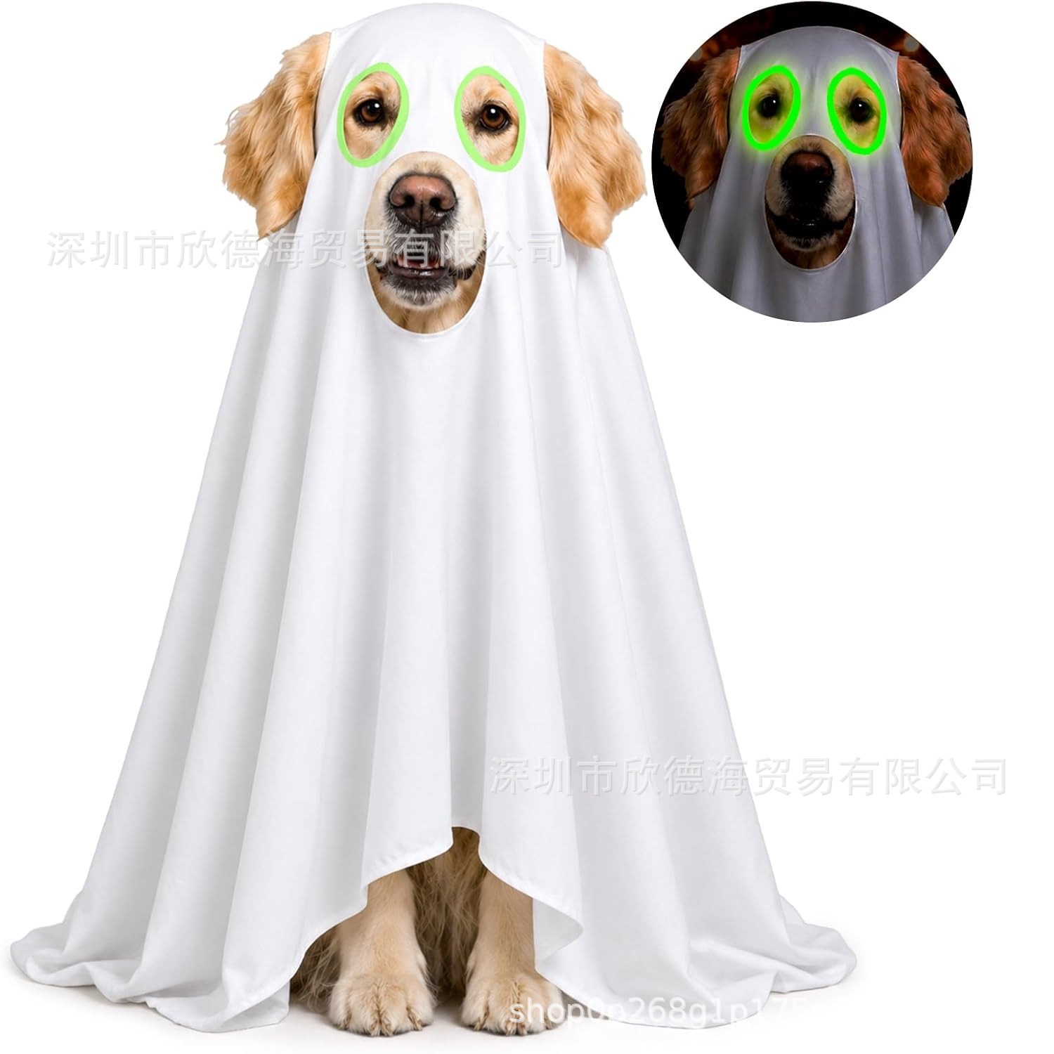 Cross-border best-selling Halloween dog ghost cape pet cosplay cloak holiday party costume