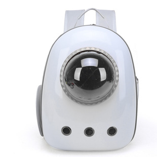 Factory Direct supply outing pet bag 2023 new fashion transparent backpack space bag lightweight breathable side open cat bag