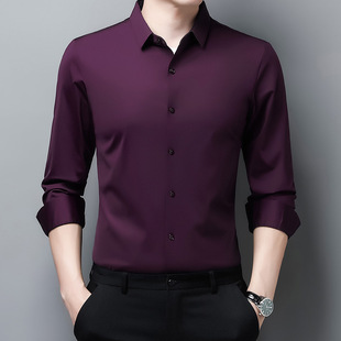 2024 Spring and Autumn New Mulberry Silk High-end Long-sleeved Shirt Men's Business Non-ironing Anti-wrinkle Trendy Stretch Shirt
