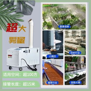 Commercial double-hole heavy fog ultrasonic industrial humidifier car film supermarket vegetable fresh-keeping workshop dust