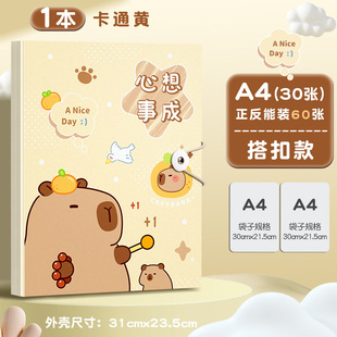 Information Book A4 folder transparent insert paper storage bag Award Collection book cute student roll album