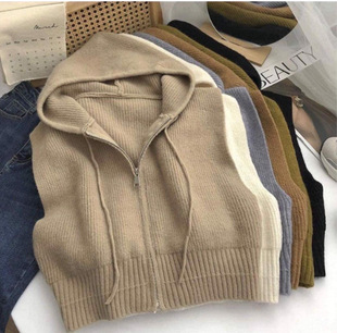 Vest Women's Lazy Style Hooded Knitted Design Niche Autumn and Winter Zipper Cardigan Sweater Vest Top