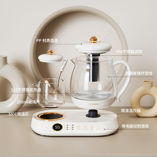 Customized cross-border European and American regulated health pot household multifunctional office automatic tea maker electric kettle