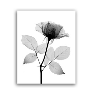 Foreign trade hot sale modern simple black and white watercolor flowers plant vein bedroom living room decoration hanging painting mural painting core