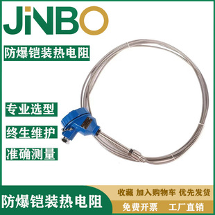 Explosion-proof armored platinum thermal resistance probe type thermal resistance flexible WZP230 pt100 temperature sensor K type