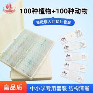 200 Kinds of Biological Slice Specimens Complete Varieties of Teaching Slice Set for Science Popularization for Primary and Secondary School Students Microscopic Slides
