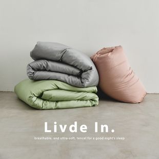 Spring and Summer Silk Solid Color Bed Sheetss, Quilt Covers, Single Pillowcases, Cool Summer Bedding Sets for Sleeping Naked, Four-Piece Set