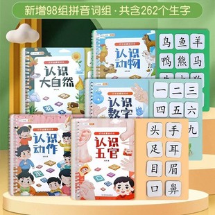 Douhalf master literacy Enlightenment game book Baby early education tearing paste book early childhood literacy early education Velcro literacy