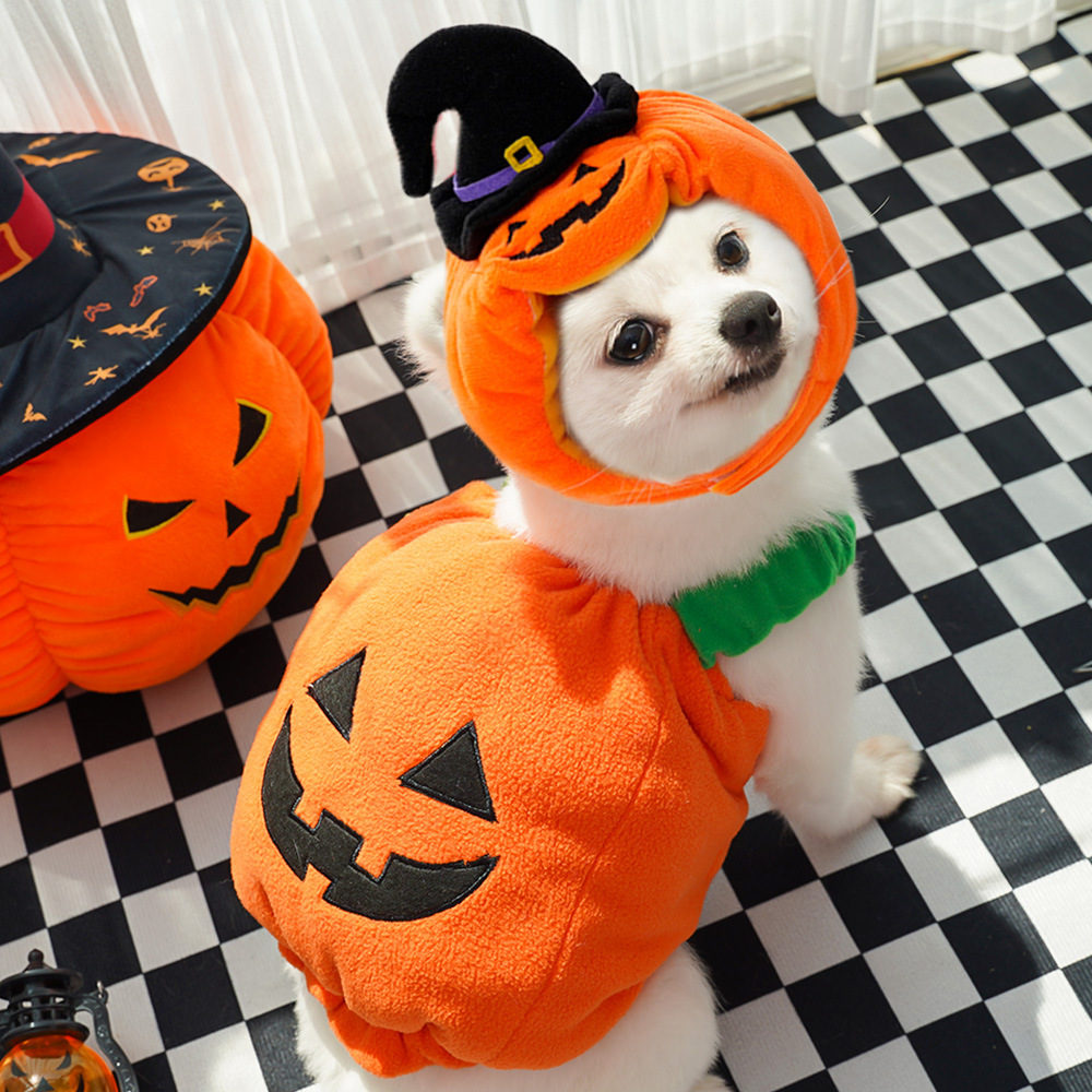 Halloween and Christmas costumes for dogs, funny cats, two-legged pets, Teddy dogs, clothes and supplies