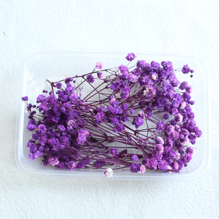 Gymos dried flower eternal flower real flower material bag handmade diy photo frame card mini bouquet material