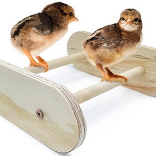 Parrot Stand Pet Chicken Oval Stand Cock Hen Parrot Bird Stand