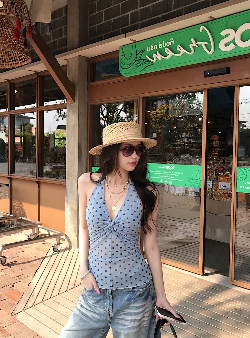 Ashy Snow Pink Mist Polka Dot Mesh V-Neck Twist Design Halter Neck Sleeveless Top with Cinnamon Pink Gradient Flocking