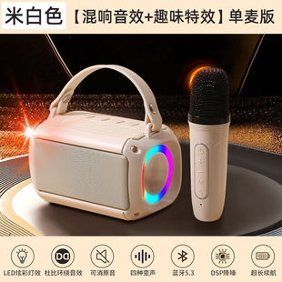Частная модель Bluetooth Аудио беспроводной KSong Микрофон Микрофон Детское маленькое домашнее пение на открытом воздухе