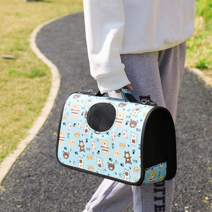 Cat Bag Cross-border Winter Crossbody Bag Dog Bag Pet Portable Space Capsule Backpack Outdoor Portable Pet Bag