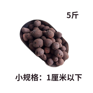 Ceramsite Horticultural Flowers Flower Pot Bottom Paving Surface Flower Cultivation Anti-Rotten Roots Fleshy Breathable Soilless Hydroponic Orchid Mixed Plant Material
